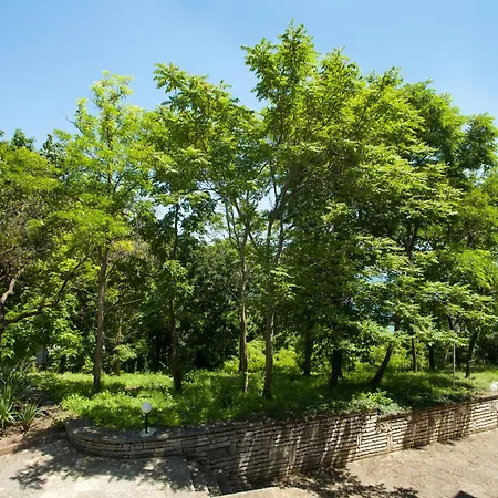 Hotel Bisser - Free Parking - Free Pool Access